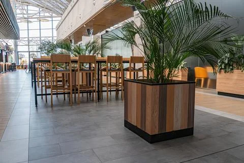 Modern, spacious indoor setting with large square planter holding a tropical  Stock Photos