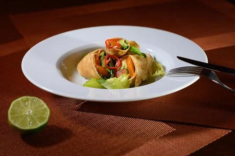 Modern Spring Roll Stock Photos