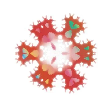 Modern Star Soft Shape Clean Abstract Rounded Shapes for Branding and Web D.. イラスト素材