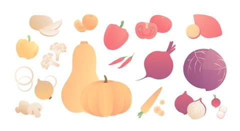 Modern style flat illustration vegetable with slices Stock Illustration