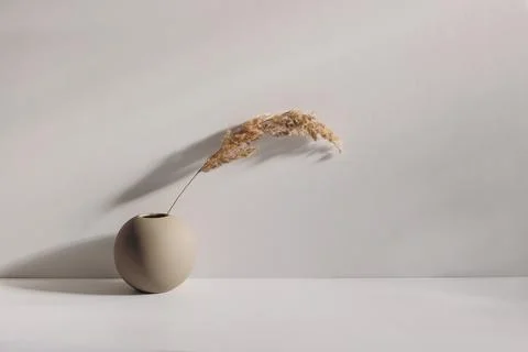 Modern summer, fall still life photo. Beige ball shaped vase with dry festuca 스톡 사진