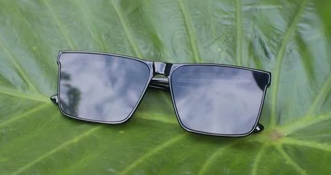 Modern Sunglasses On Green Leaf Surface 스톡 사진