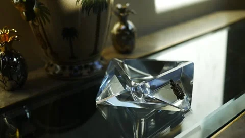A Modern Table Setup with Trinkets in Modern Sunroom 3 Vidéo 348586762