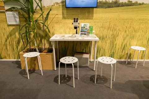Modern table with white stools in bright agricultural exhibition space Stock Photos