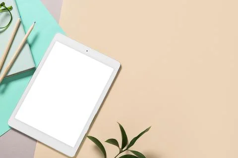 Modern tablet computer with blank screen, pencils and ruscus leaves on color  Stock Photos