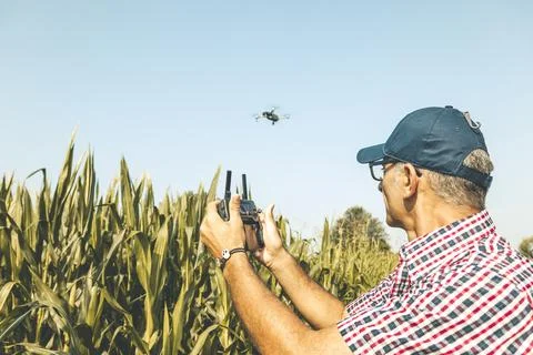 Modern technological farmer analyzing the growth of corn by flying a drone Stock-Fotos
