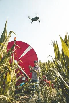 Modern technological farmer analyzing the growth of corn by flying a drone Stock Photos
