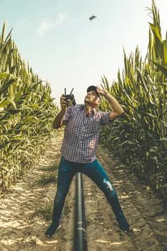 Modern technological farmer analyzing the growth of corn by flying a drone .. Stock Photos