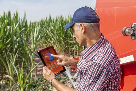 Modern technological farmer checking the growth data of corn on tablet Stock Photos