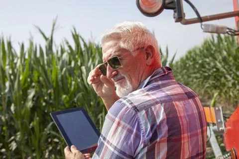 Modern technological farmer while checking the growth data of corn on the t.. Stock Photos