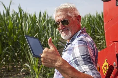 Modern technological farmer while checking the growth data of corn on the t.. Stock Photos