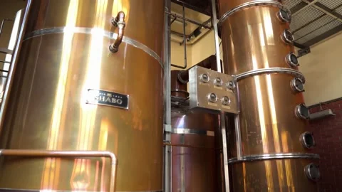 Modern technologies of wine production Stock Footage 186702811