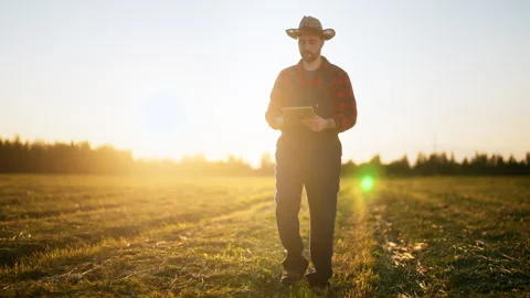 Modern technology in agribusiness, farmer with tablet in hands walking in field Stock Footage 315526373