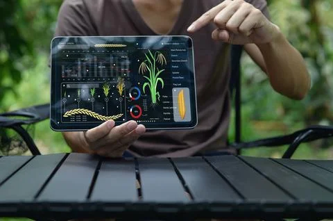 Modern Technology in Agriculture Using Graphics on Tablet Device 写真素材