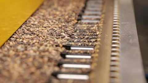 Modern technology selects seeds for planting seedlings Landscaping, the world is Stock Footage 176435448