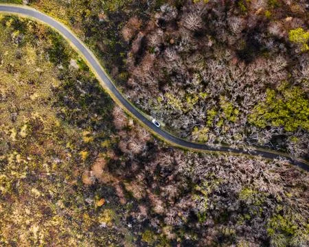 Modern Tesla Model 3 on single road in Hawaii Stock Photos