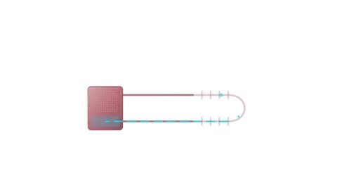 Modern Thermal Physics Loop Heat Pipe Vector Animation with Rose Copper Cap.. Stock Footage 346674462
