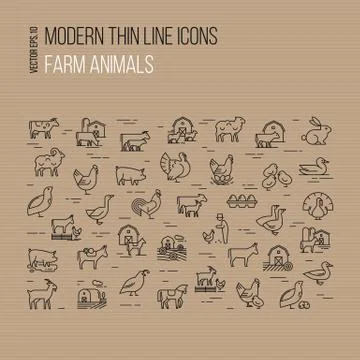 Modern thin line icons set of farm animals isolated on brown background Stock Illustration