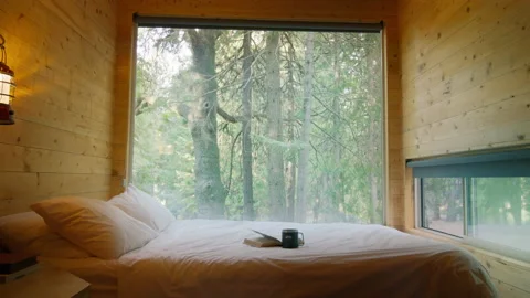 Modern Tiny House Interior In Forest, dolly RED camera shot for Copy text space Video stock 219368588