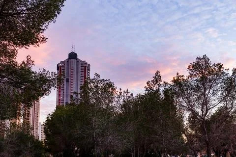 Modern Tower and Trees Under Pastel Sky Fotos de archivo