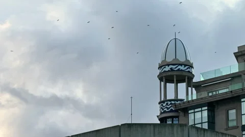 Modern Tower with Cloudy Sky and Flying Birds Stock Footage 278533879