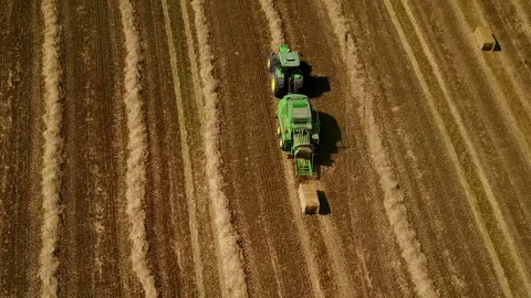 Modern tractor makes haystacks on the field after harvesting. Aerial view. 動画素材 89920315