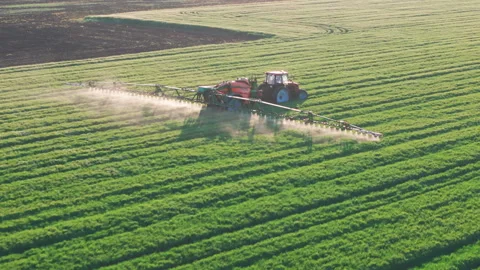 Modern Tractor Spraying Crops in Lush Green Field. Aerial Agriculture Stock Footage 310656002