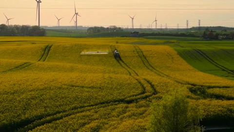 Modern tractor with trailer sprayer applying fertilizers on flowering rapeseed Stock Footage 311930946