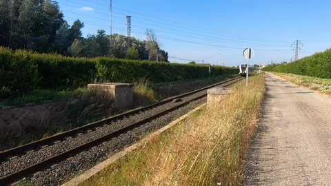 Modern train passing through an area with trees on the sides of the road. Видео 108584226