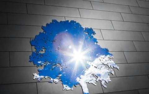 Modern tree of life representation using the sky in a mirror Stock-Illustration