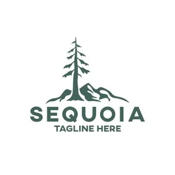 Modern tree sequoia logo. Vector illustration. Stock Illustration