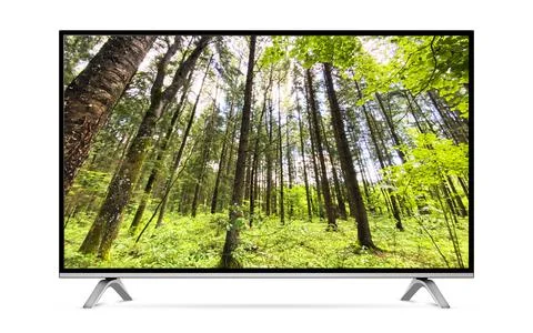 Modern tv with forest on screen Stock Photos