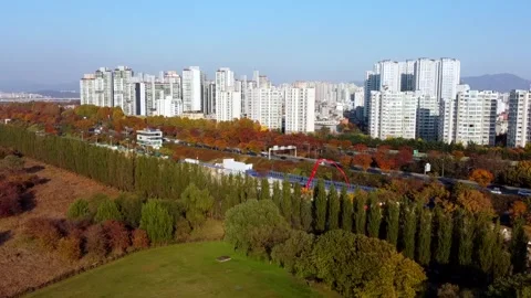 Modern urban skyline rises beyond a large green park with colorful autumn 库存影片 344800500
