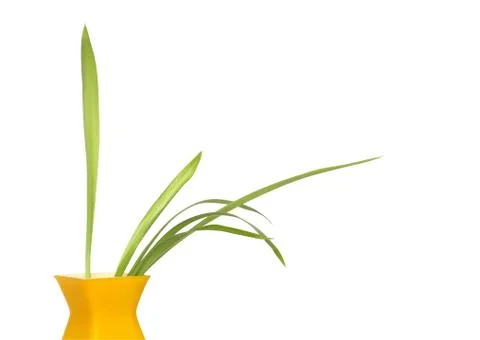 Modern vase Stock-Fotos
