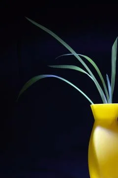 Modern vase Stock Photos