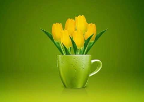 Modern vase Stock Photos