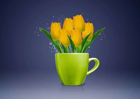 Modern vase Stock Photos