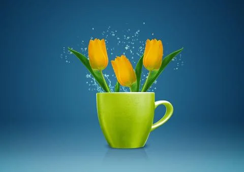 Modern vase Stock Photos