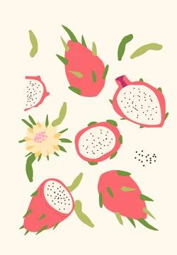 Modern vertical dragon fruit poster, vector flat illustration. Summer or autu 스톡 일러스트