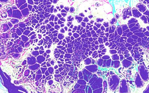 Modern very peri abstract texture with fluid pouring bubbles. Stock Illustration