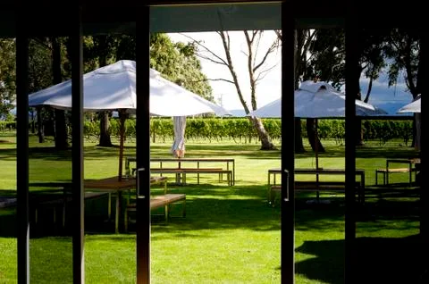 Modern vineyard Stock Photos