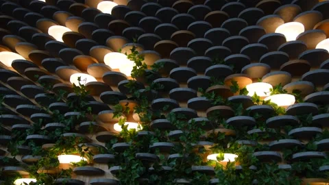 Modern wall decor background Stock Footage 252018528