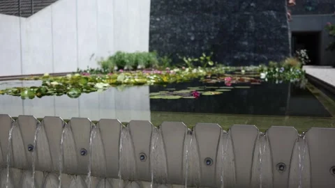 Modern water feature with flowing streams and blooming water lilies in urban des Video stock 344789532