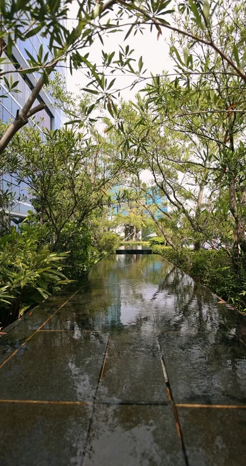 Modern Water Feature Reflecting Trees in Urban Office Garden Stock Footage 327689677
