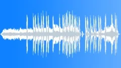 Modern Western Logo Stock Music