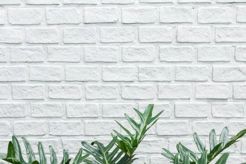 The Modern white brick wall texture for background. abstract design backgroun Stock Photos