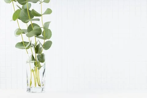 Modern white kitchen interior - soft light tiny ceramic tiles on wall, summer Stock Photos