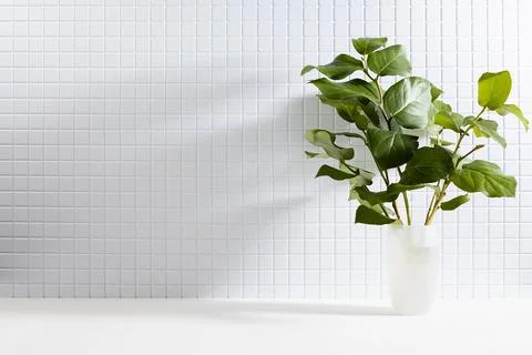 Modern white kitchen interior - tiny ceramic tiles on wall, summer bouquet of 스톡 사진
