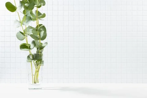 Modern white kitchen interior - tiny ceramic tiles on wall, summer bouquet of 스톡 사진