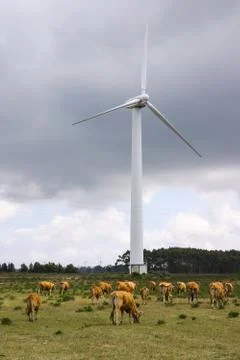 Modern windmill - Stock image Stock Photos